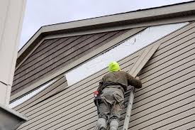 Best Wood Siding Installation  in Northdale, FL